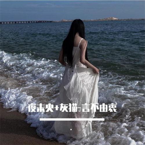 泰式电摇视频,一场视觉与听觉的狂欢盛宴