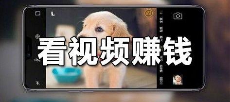 自动看视频赚钱软件,轻松实现财富增长的新途径