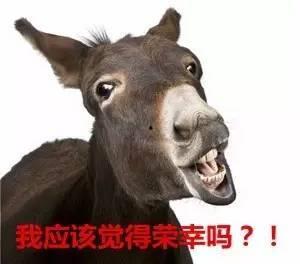 驴日驴皮视频直播,揭秘直播界的奇幻之旅