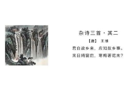 杂诗王维朗读视频,诗意盎然的古典韵味再现