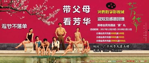 芳华免费视频,重温青春岁月，共赴时代芳华之旅